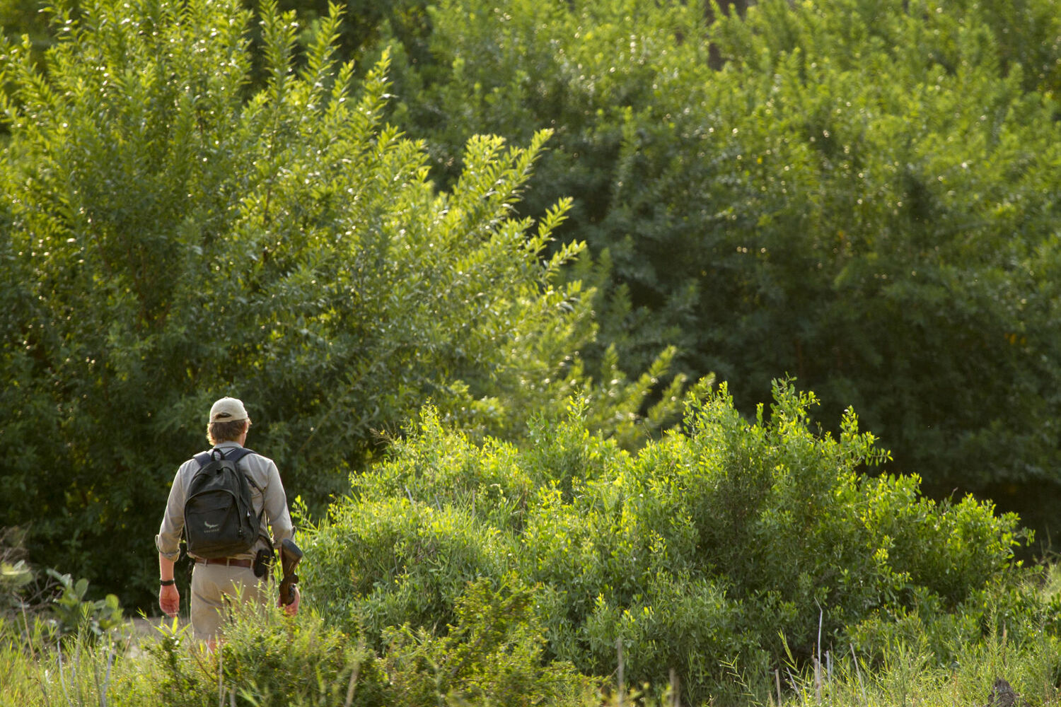 PlaceholderImage1302